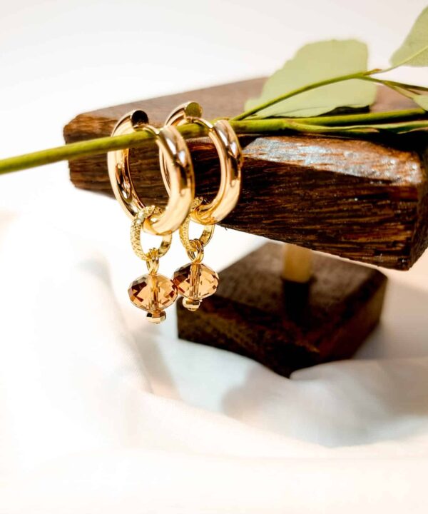 עגילי חישוק Rita